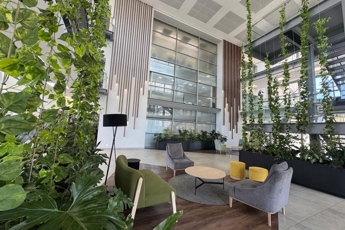 Ground Floor Office to Let | Illovo - Photo 3