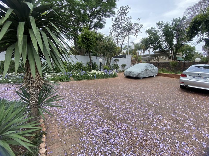 Modern air-conditioned Offices to Let - Photo 6