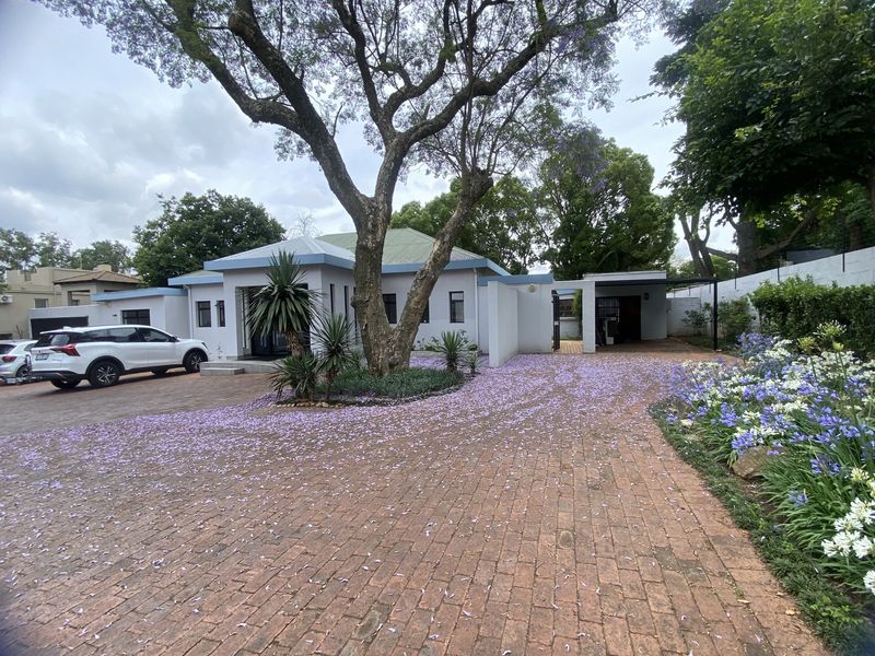 Modern air-conditioned Offices to Let - Photo 2