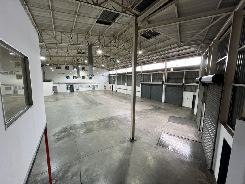 Spacious industrial warehouse featuring high ceilings, concrete flooring, multiple roller shutter doors, and functional high bay lighting, suitable for various commercial or storage operations.
