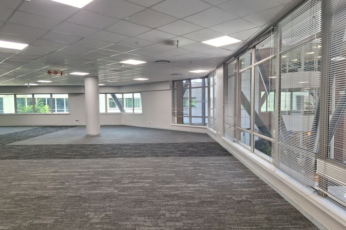 Spacious open-plan office area featuring large windows, suspended ceiling with recessed lighting, and carpeted flooring.