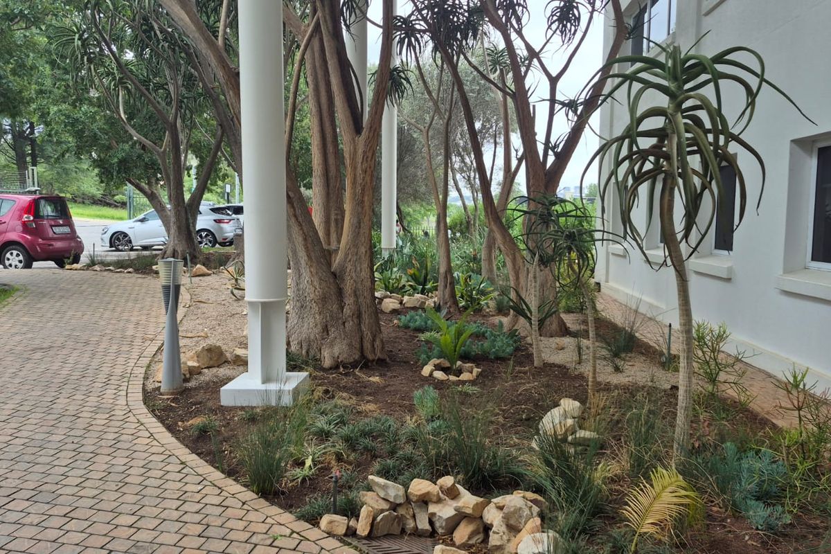 Free-standing  A-grade offices to rent in Modderfontein business park - Photo 5