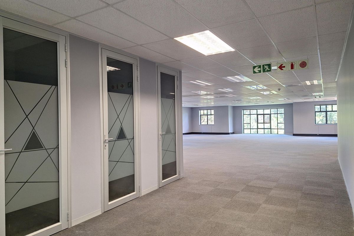 Spacious open-plan office area featuring carpet tiles, suspended ceilings with recessed lighting, and multiple glass-paneled office doors.