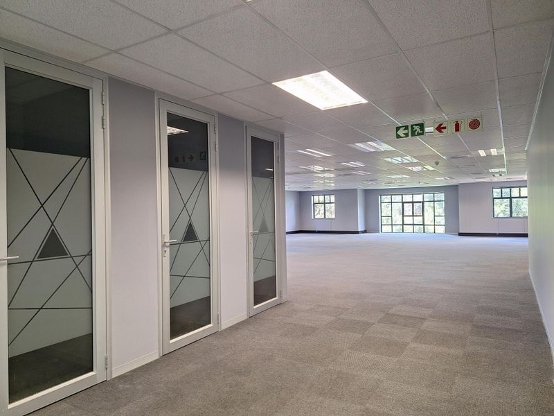 Spacious open-plan office area featuring carpet tiles, suspended ceilings with recessed lighting, and multiple glass-paneled office doors.