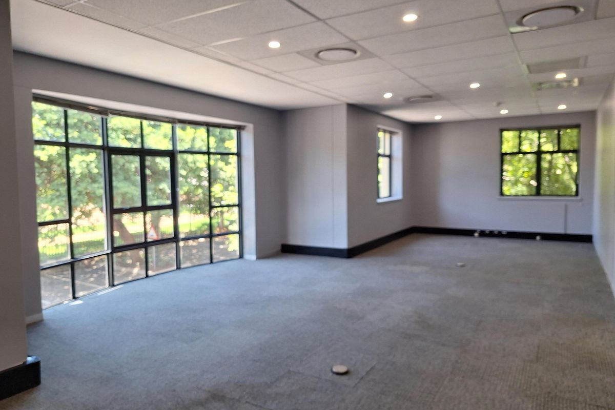 A spacious, empty office area featuring large windows, neutral grey walls, carpeted flooring, and a modern suspended ceiling with recessed lighting.