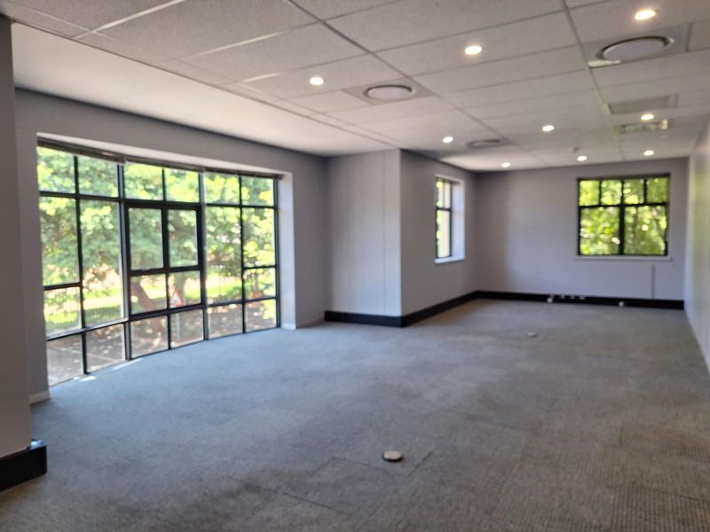 A spacious, empty office area featuring large windows, neutral grey walls, carpeted flooring, and a modern suspended ceiling with recessed lighting.