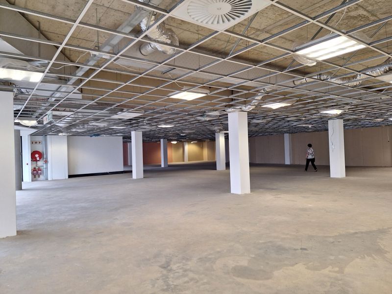 PREMIUM 995SQM OFFICE TO LET IN MORNINGSIDE, SANDTON - Photo 3