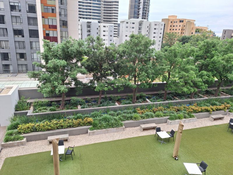 PREMIUM 995SQM OFFICE TO LET IN MORNINGSIDE, SANDTON - Photo 5