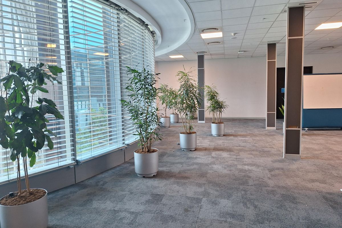 PRESTIGIOUS 4000sqm PREMIUM GRADE OFFICE IN SANDTON - Photo 4