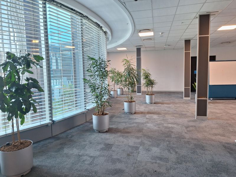 PRESTIGIOUS 4000sqm PREMIUM GRADE OFFICE IN SANDTON - Photo 4