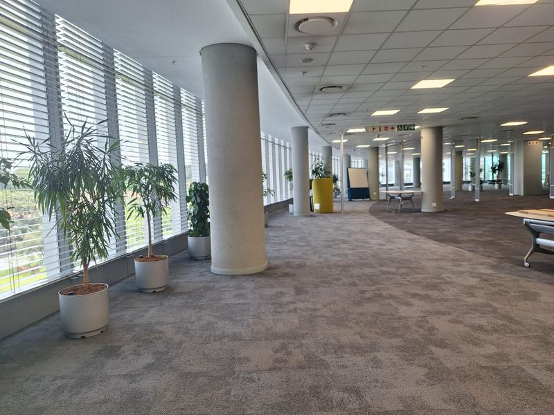 PRESTIGIOUS 4000sqm PREMIUM GRADE OFFICE IN SANDTON - Photo 5