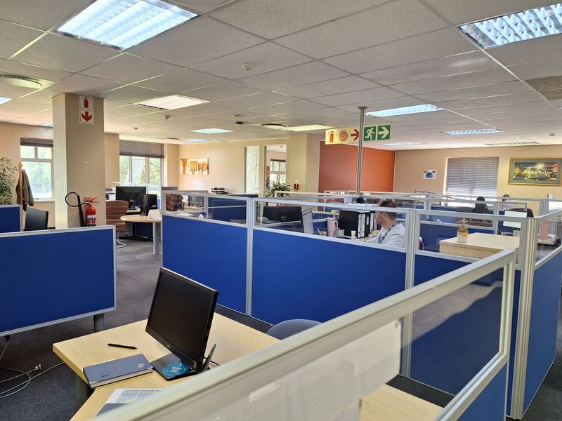 Open-plan office space featuring modular workstation cubicles, suspended acoustic ceiling tiles, and integrated fluorescent lighting fixtures.