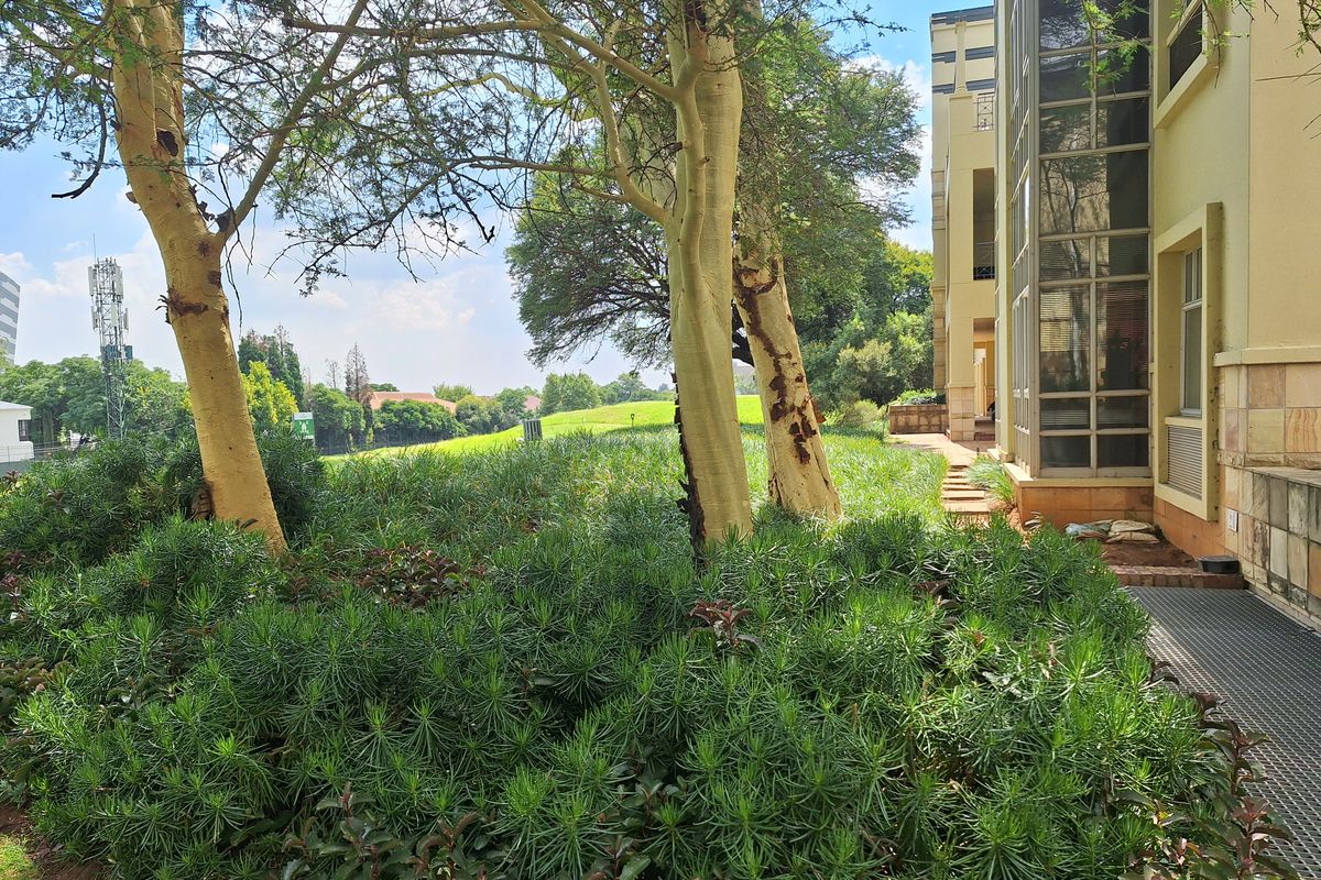 3278sqm FREESTANDING OFFICE BLOCK TO LET IN SANDTON - Photo 5