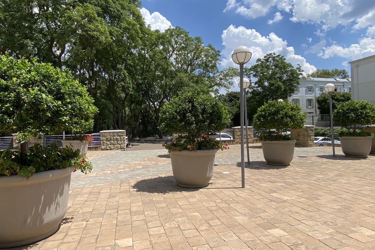 AAA Graded air-conditioned offices to rent in Illovo - Photo 4