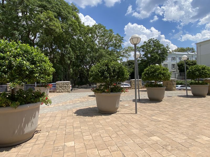 AAA Graded air-conditioned offices to rent in Illovo - Photo 4