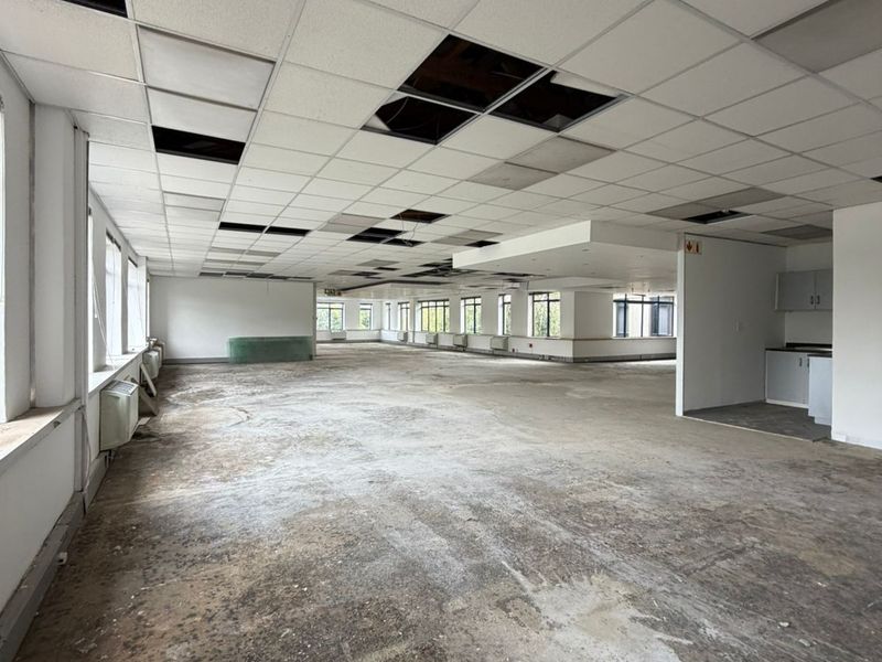 400sqm Office Space | Prime Rosebank Office Park | Secure, Garden Setting - Photo 3