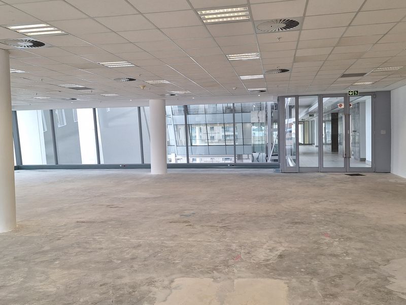 PRIME P-GRADE 1976sqm OFFICE IN CENTRAL SANDTON - Photo 9
