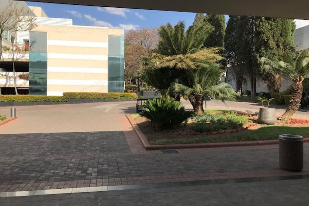 View of the office complex exterior, featuring paved driveway, landscaped garden beds with mature palms, and modern building facade.