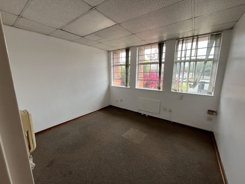 An empty office space featuring a suspended ceiling, carpeted flooring, and large windows with security bars, providing ample natural light.