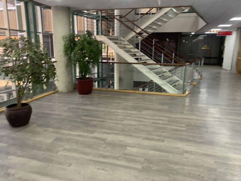 Secure Office Space in Bedford Park - REFURBED and READY! - Photo 3