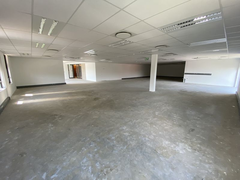 330m2 P-Grade Suite to Let in Fourways - Photo 9