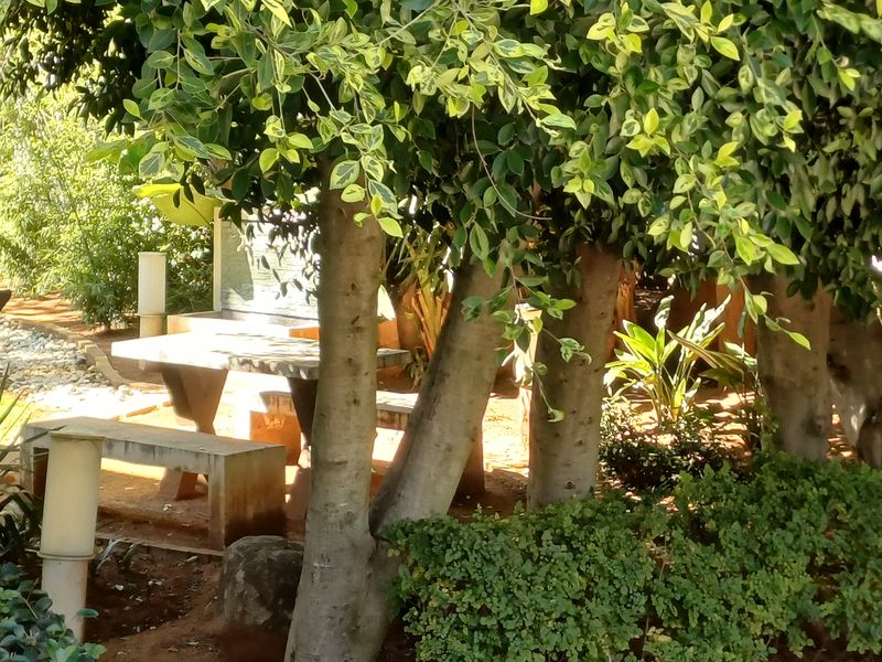 A landscaped garden area featuring mature trees, established shrubbery, and a built-in stone table and bench set for outdoor seating.