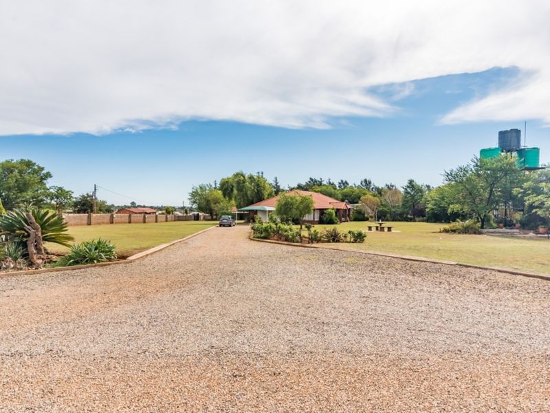 A true paradise of lush land! - Photo 4