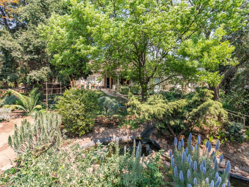 8.6HA plot located in Van Wyk's Restant, Muldersdrift, in area earmarked for future development - Photo 8