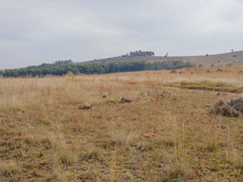 A wide-angle view of the vacant residential land featuring natural grassland and rolling hills in the background.