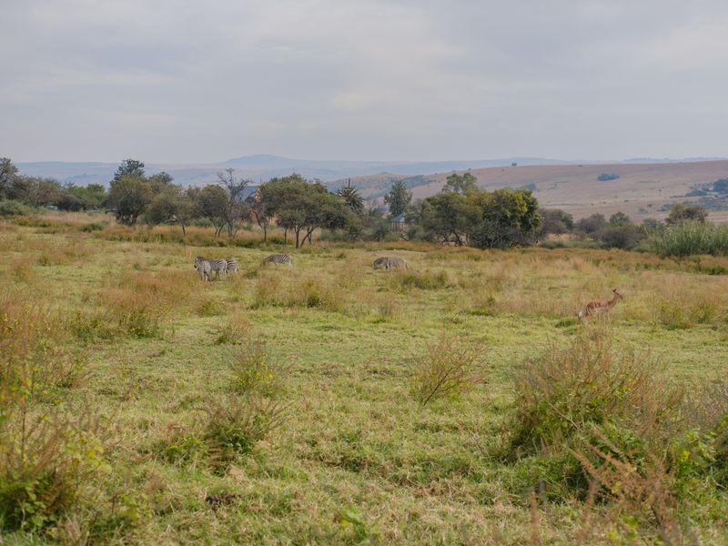 A scenic view of an expansive, undeveloped residential plot featuring natural grassland and indigenous vegetation.