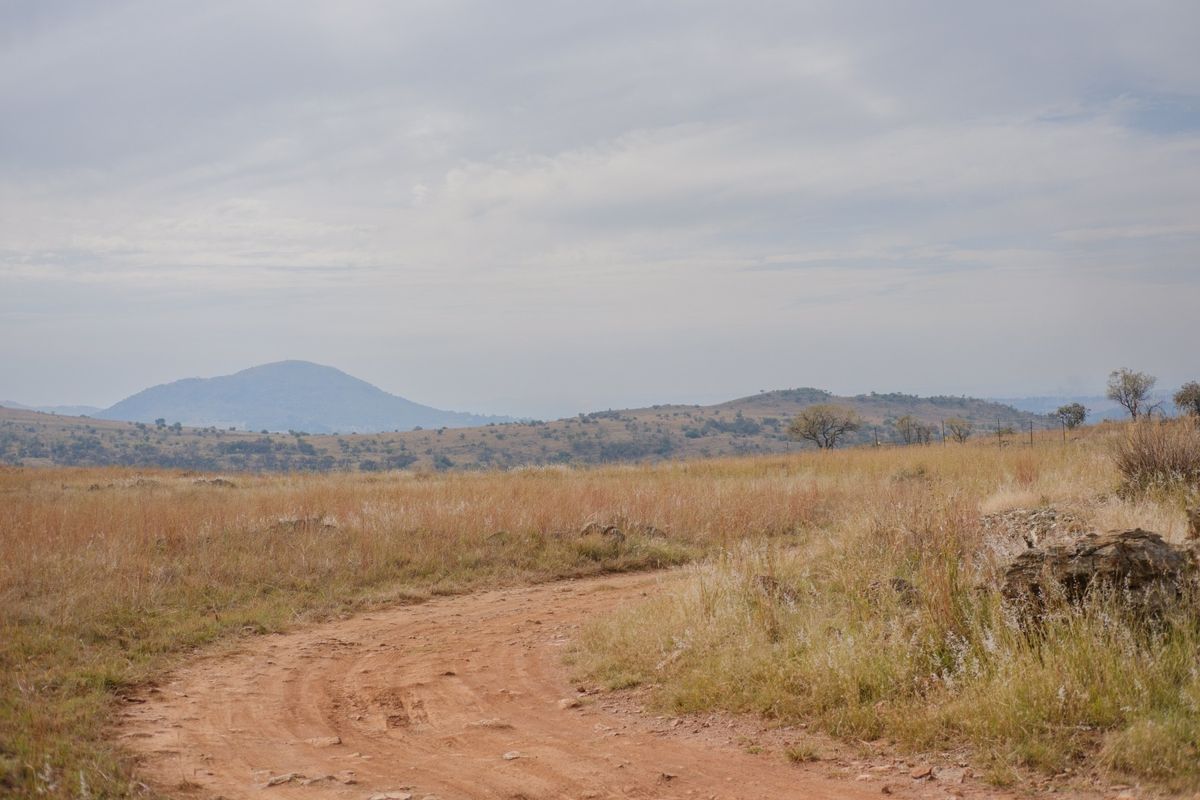 A scenic view of a dirt road winding through open, natural grassland with rolling hills in the background.