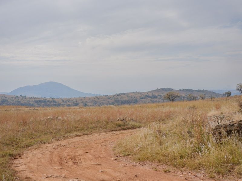 A scenic view of a dirt road winding through open, natural grassland with rolling hills in the background.