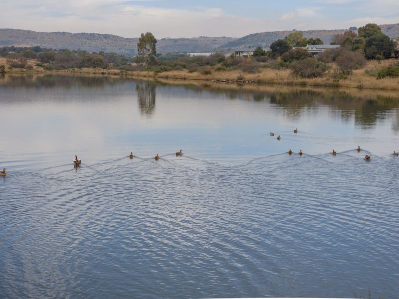 A scenic view of a tranquil lake surrounded by natural landscape and rolling hills, offering a peaceful outlook for the property.