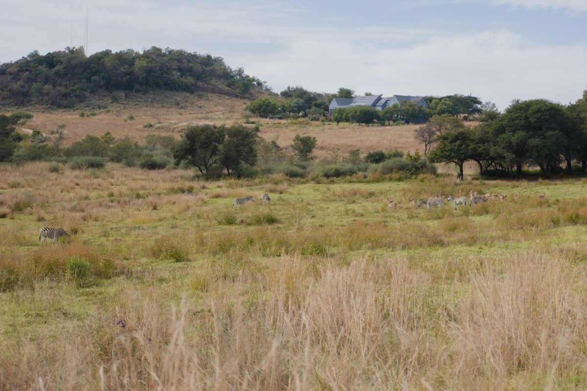 A scenic view of a vast, open grassland landscape featuring natural vegetation and wildlife, showcasing the expansive nature of the residential land.