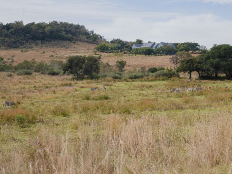 A scenic view of a vast, open grassland landscape featuring natural vegetation and wildlife, showcasing the expansive nature of the residential land.