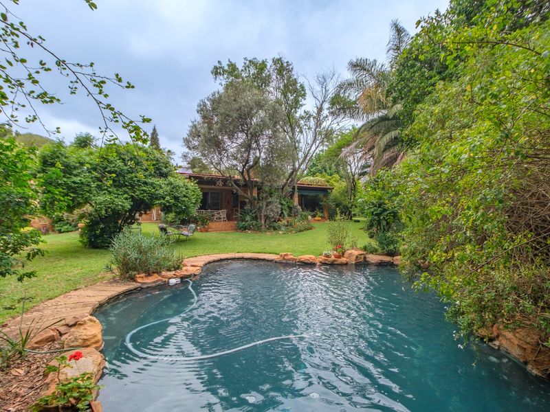 A natural-style swimming pool with rock edging set within a lush, landscaped garden, featuring a view of the home's covered patio area.
