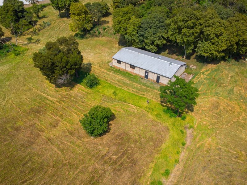 DEVELOPMENT LAND IN DISWILMAR (HOMES HAVEN) KRUGERSDORP - Photo 7
