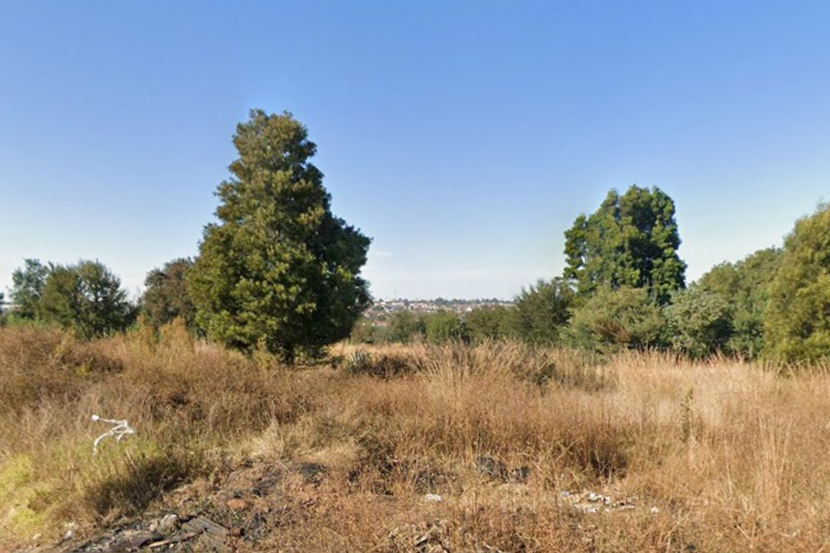 A view of the vacant residential land featuring natural vegetation and mature trees.
