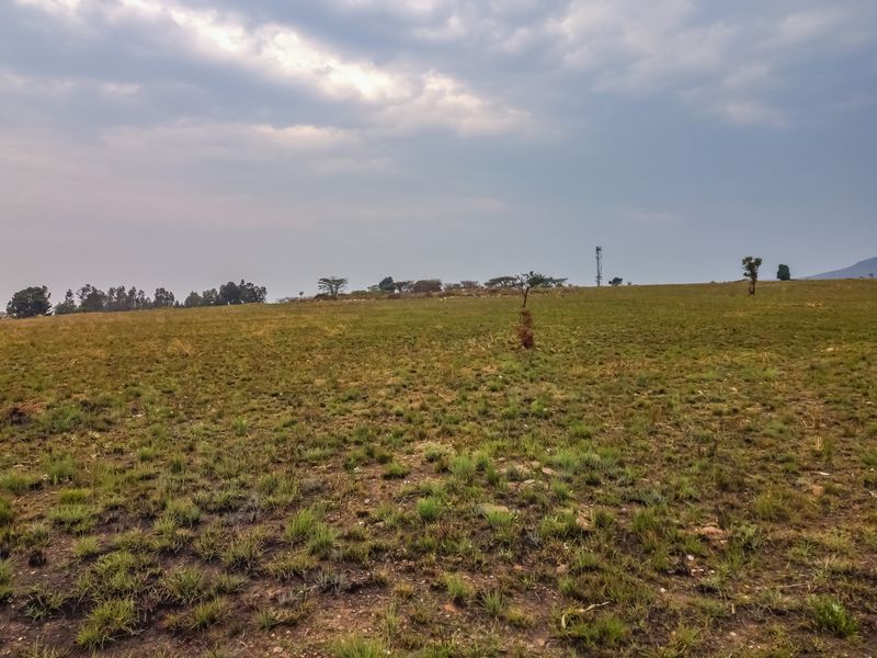 A wide-angle view of an expansive, undeveloped grassy plot of land with natural vegetation and a clear horizon.