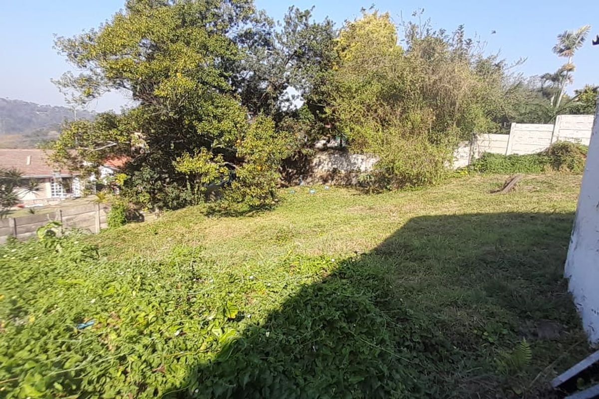 A view of the rear garden area featuring a sloped lawn, mature trees, and a precast concrete boundary wall with visible exterior wall weathering.