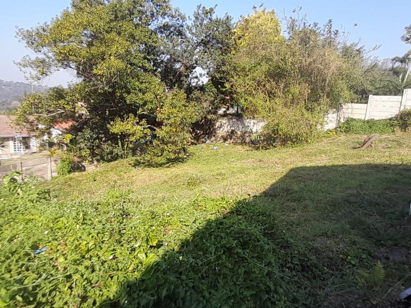 A view of the rear garden area featuring a sloped lawn, mature trees, and a precast concrete boundary wall with visible exterior wall weathering.