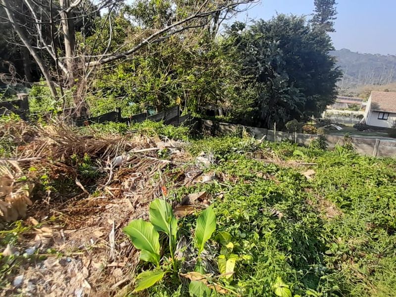 An overgrown, sloped garden area featuring a concrete boundary wall and views of the surrounding neighborhood.