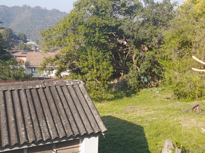 An elevated view overlooking a residential garden area with mature trees and a tiled roof structure in the foreground.