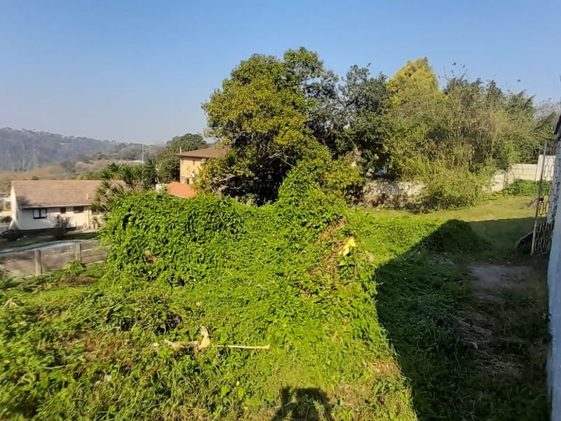 Rear exterior view of the property showing a large, overgrown garden area and the side wall of the building with visible paint deterioration.