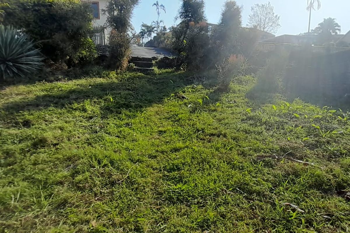 A sloped, overgrown garden area featuring a concrete staircase and retaining wall, offering potential for landscaping and outdoor development.