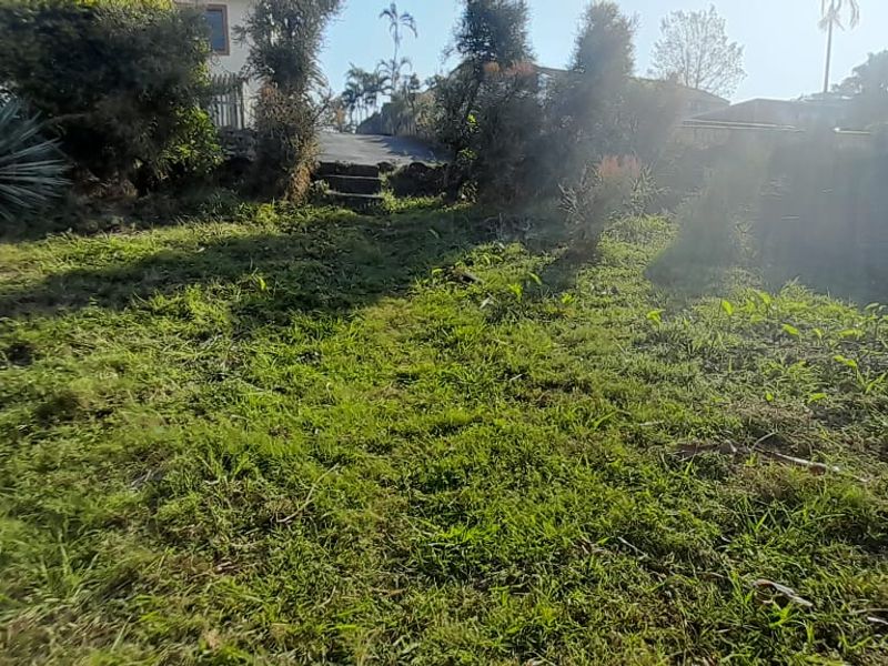 A sloped, overgrown garden area featuring a concrete staircase and retaining wall, offering potential for landscaping and outdoor development.