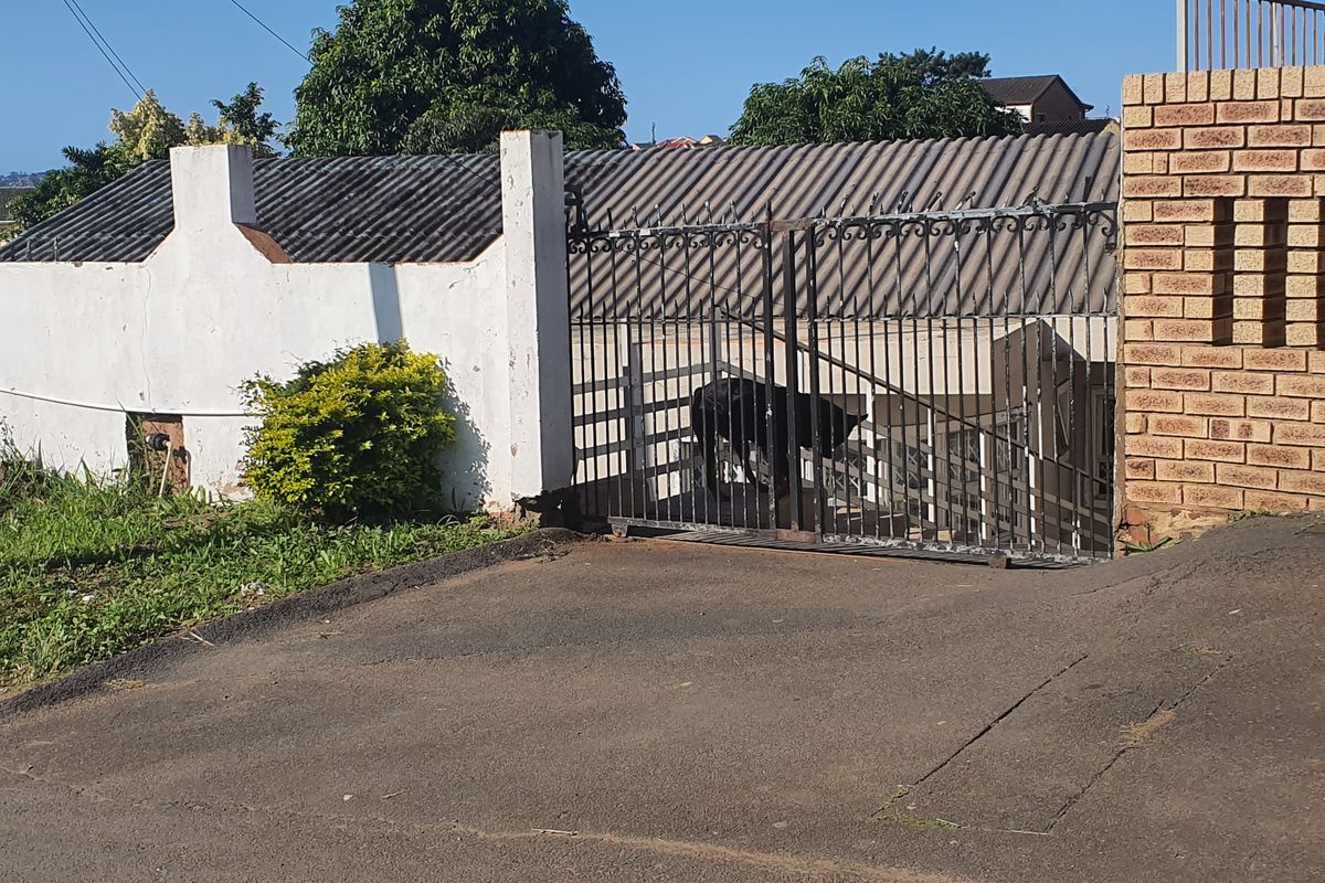 Spacious Three Bedroom Home with Outbuilding in Foresthaven for Sale - Photo 2
