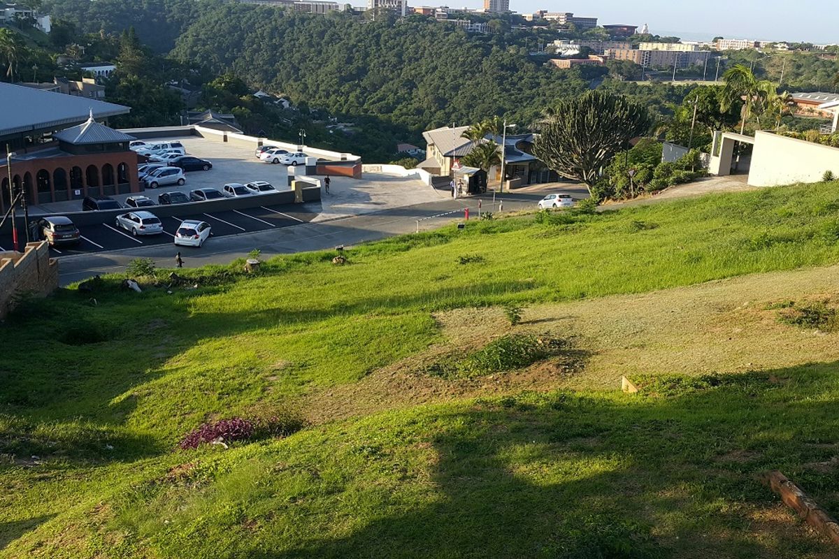 Land For Sale - Photo 2