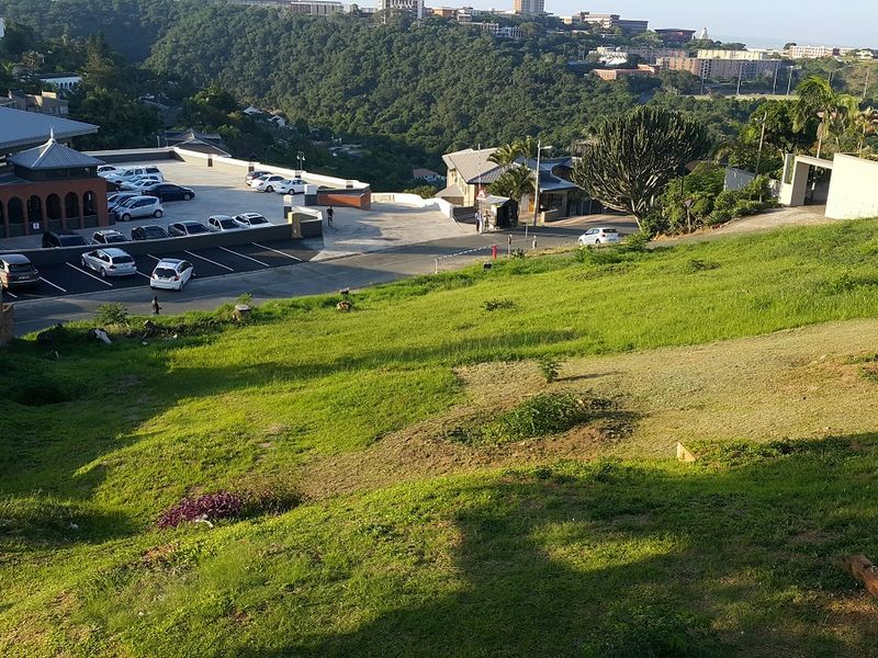 Land For Sale - Photo 2