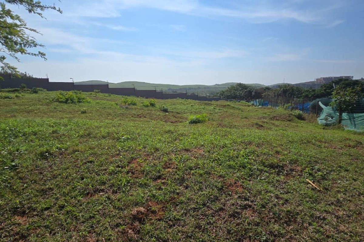 Vacant Land for Sale in Signature Estate – Prime Location - Photo 5